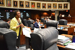 Sen. Arthenia Joyner pleads with the Senate to defeat an amendment decoupling the FAMU-FSU engineering school on Thursday. Later, she said she would support the proposal based on promises made by senators Thrasher and Negron. Photo by Bill Cotterell