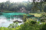 Florida is home to 33 first magnitude springs. Such springs, like this one at Rainbow Springs State Park north of Dunnellon, produce a minimum of 65 million gallons of water a day. Photo by Paul Clark