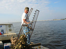 Wild oysters in Apalachicola Bay now are typically harvested with tongs as shown. Some oystermen are concerned that proposals to grow oysters in cages could threaten their traditional harvesting methods. Photo by Bruce Ritchie.