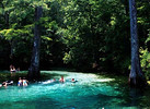 Weeki Wachee Springs State Park is among the Florida springs that are slated to receive state money to reverse the decline of the water quality. File photo from the Florida Department of Environmental Protection.