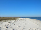 Bald Point State Park was purchased by the state under Florida Forever's predecessor program, Preservation 2000. A state constitutional amendment has been proposed to dedicate funding for land conservation.  Photo by Bruce Ritchie.