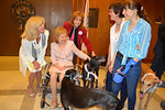Sens. Maria Sachs, and Elenore Sobel, D-Hollywood, along with Vicky Gaetz, wife of Senate President Don Gaetz,  greet greyhounds after a news conference on "decoupling" legislation. Photo by Bill Cotterell.